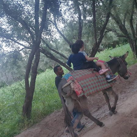 Gite Kasbah La Palmeraie Skoura Dış mekan fotoğraf