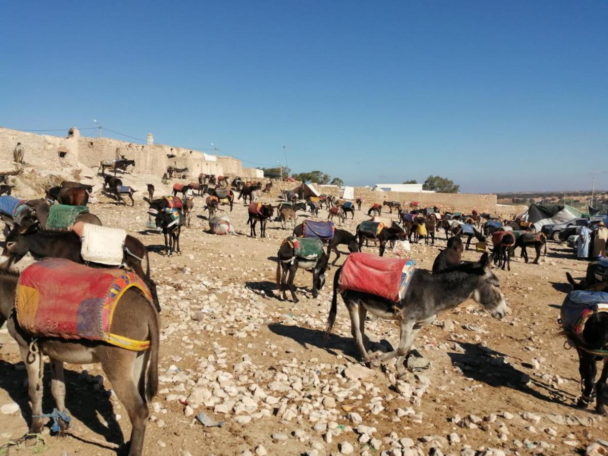 Gite Kasbah La Palmeraie Skoura Dış mekan fotoğraf
