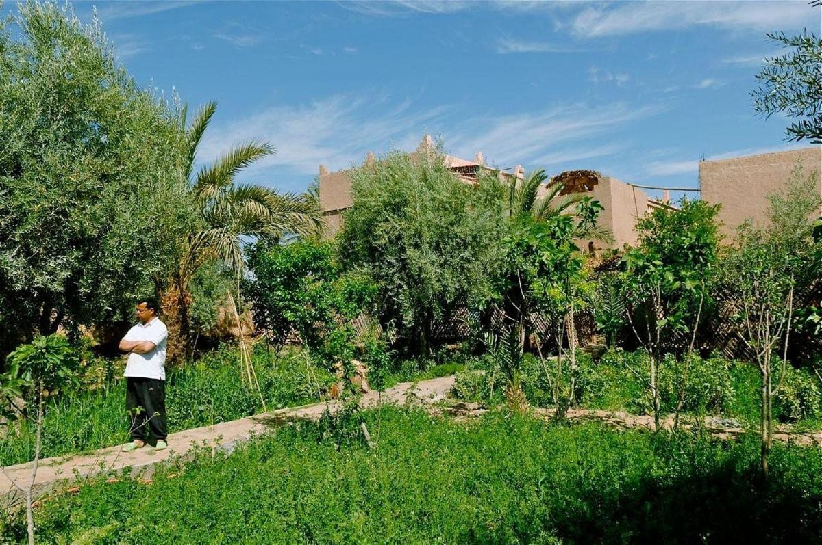 Gite Kasbah La Palmeraie Skoura Dış mekan fotoğraf