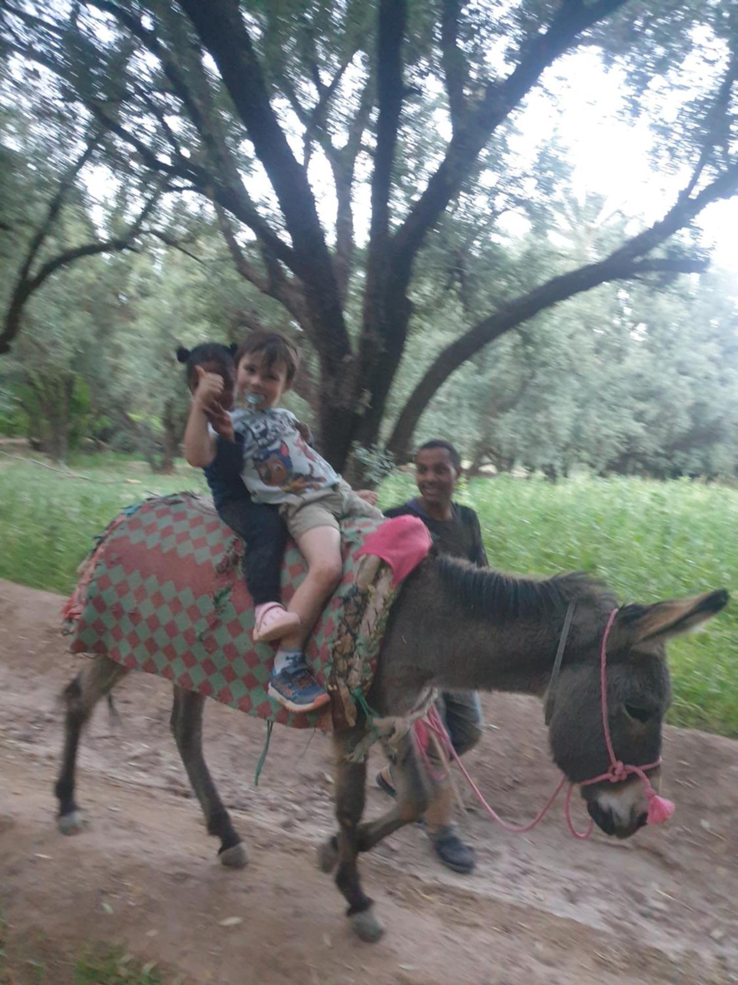 Gite Kasbah La Palmeraie Skoura Dış mekan fotoğraf