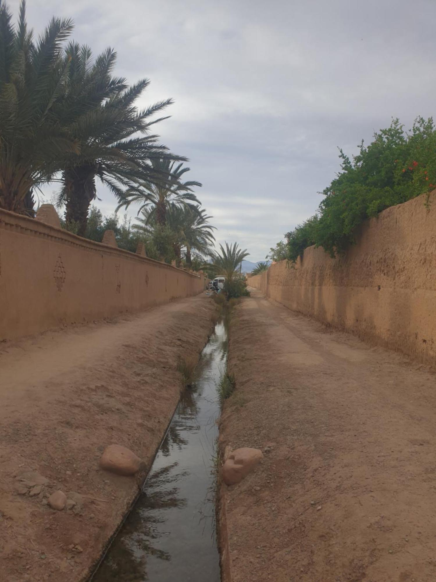 Gite Kasbah La Palmeraie Skoura Dış mekan fotoğraf