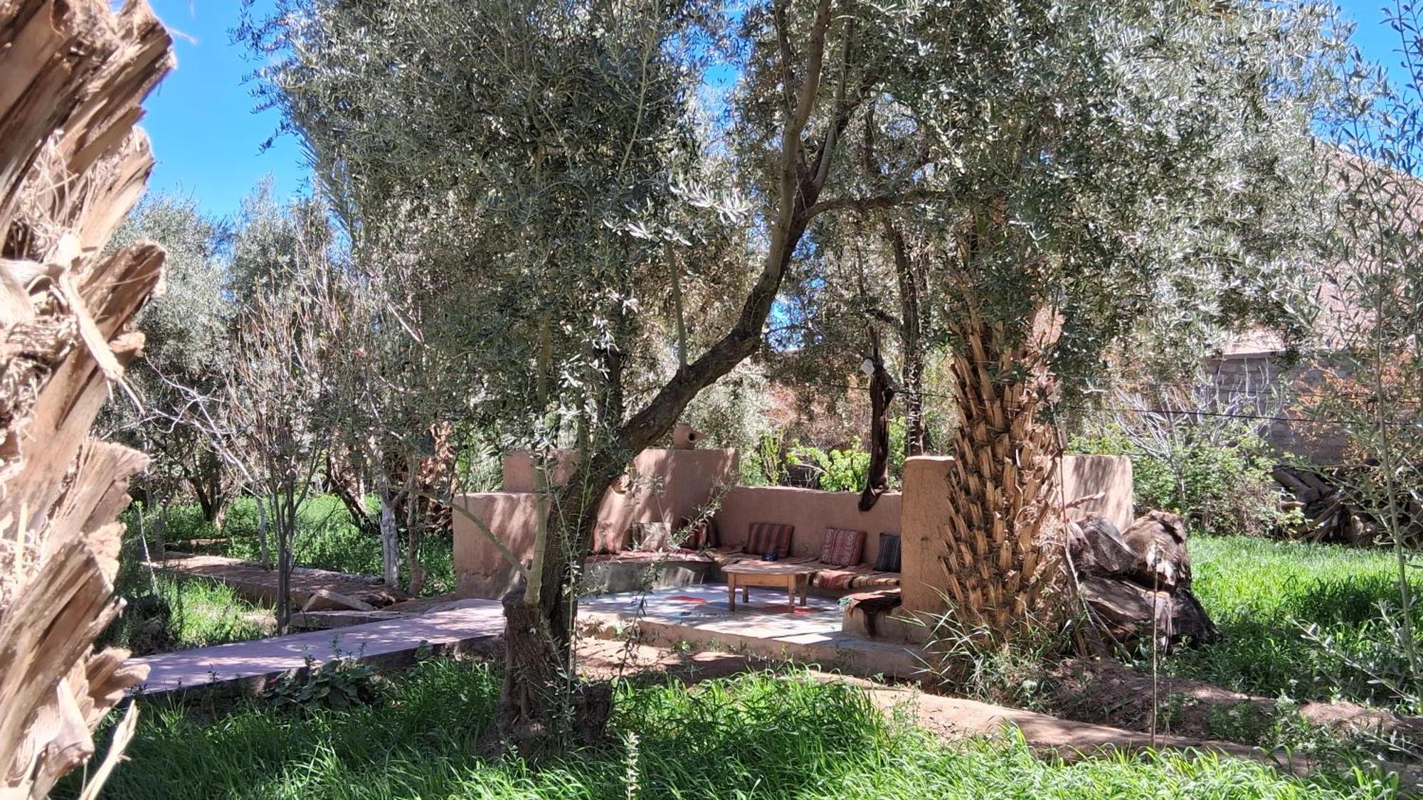 Gite Kasbah La Palmeraie Skoura Dış mekan fotoğraf