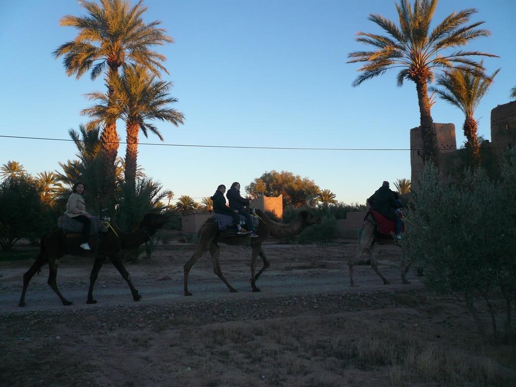 Gite Kasbah La Palmeraie Skoura Dış mekan fotoğraf