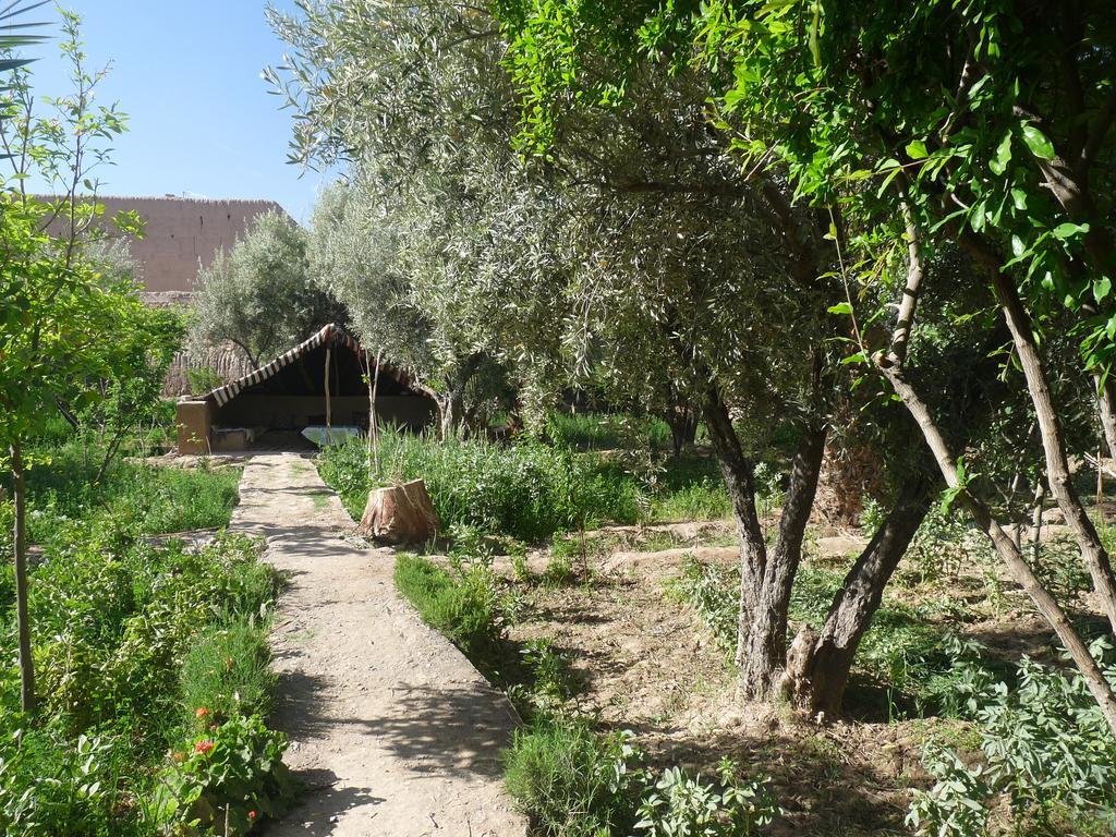 Gite Kasbah La Palmeraie Skoura Dış mekan fotoğraf